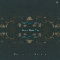 I Don't Hate You