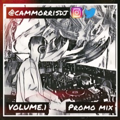 CAMMORRIS - DEEPHOUSE PROMO MIX 001