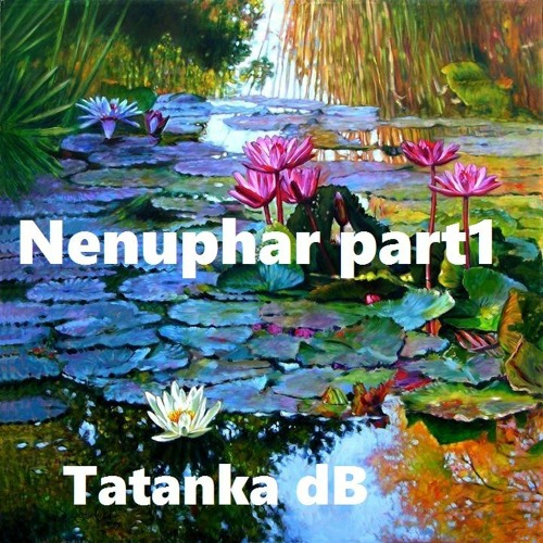 Tatanka dB - Nenuphar Part I (edit 2024)