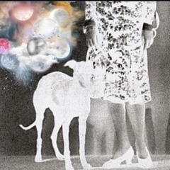 free leo (p. inanisalone)