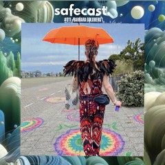 Safecast #011 - Barbara Goldberg