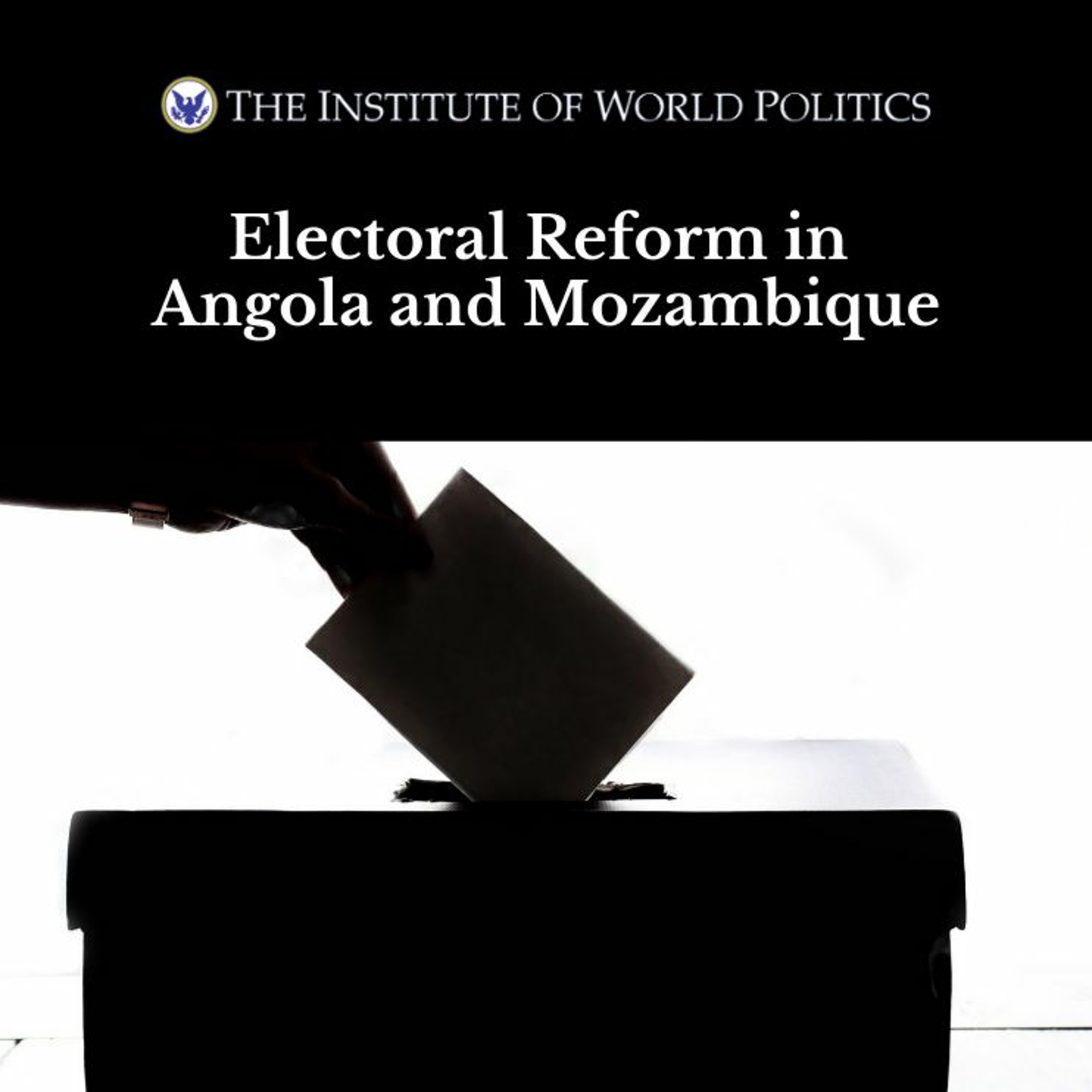 The Institute of World Politics