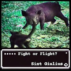 Fight Or Flight?