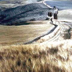 Gladiator - Now We Are Free (26 String Harp Guitar Arrangement)