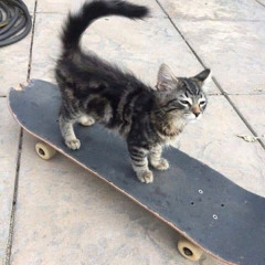 earl sweatshirt - pigeons (official instrumental)