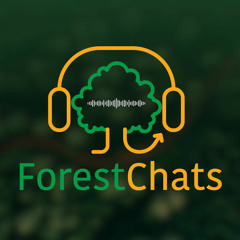 Episode 2: The European Forest Disturbance Atlas