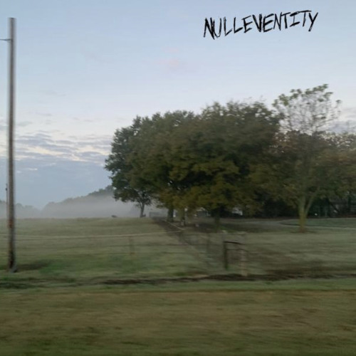 nothing helps w/nullentity (p.dercept)