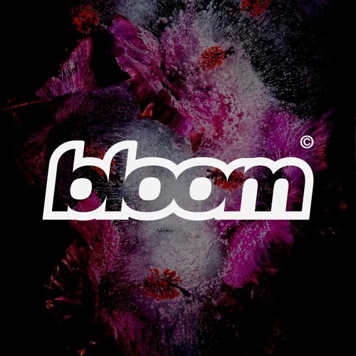 Bloom DJ Competition - Luke McKenna