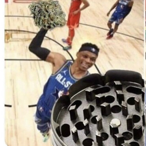 dslimeshiner Leanbacker400🗑 trash