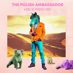 The Polish Ambassador, Jesse Klein, Robin Jackson, Ananda Vaughan - Lion (& Friends Mix)