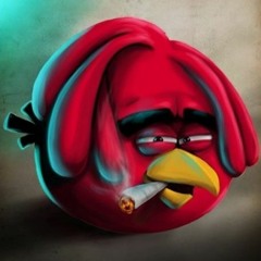 PERIQUITO🐦🐦🐦PRESIDENTE🐦🐦🐦PROD PERIQUITO