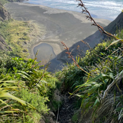 18th Nov Jungletrain