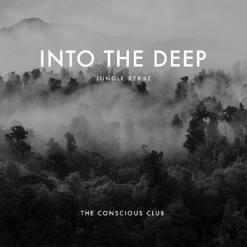 Into The Deep Jungle 528hz