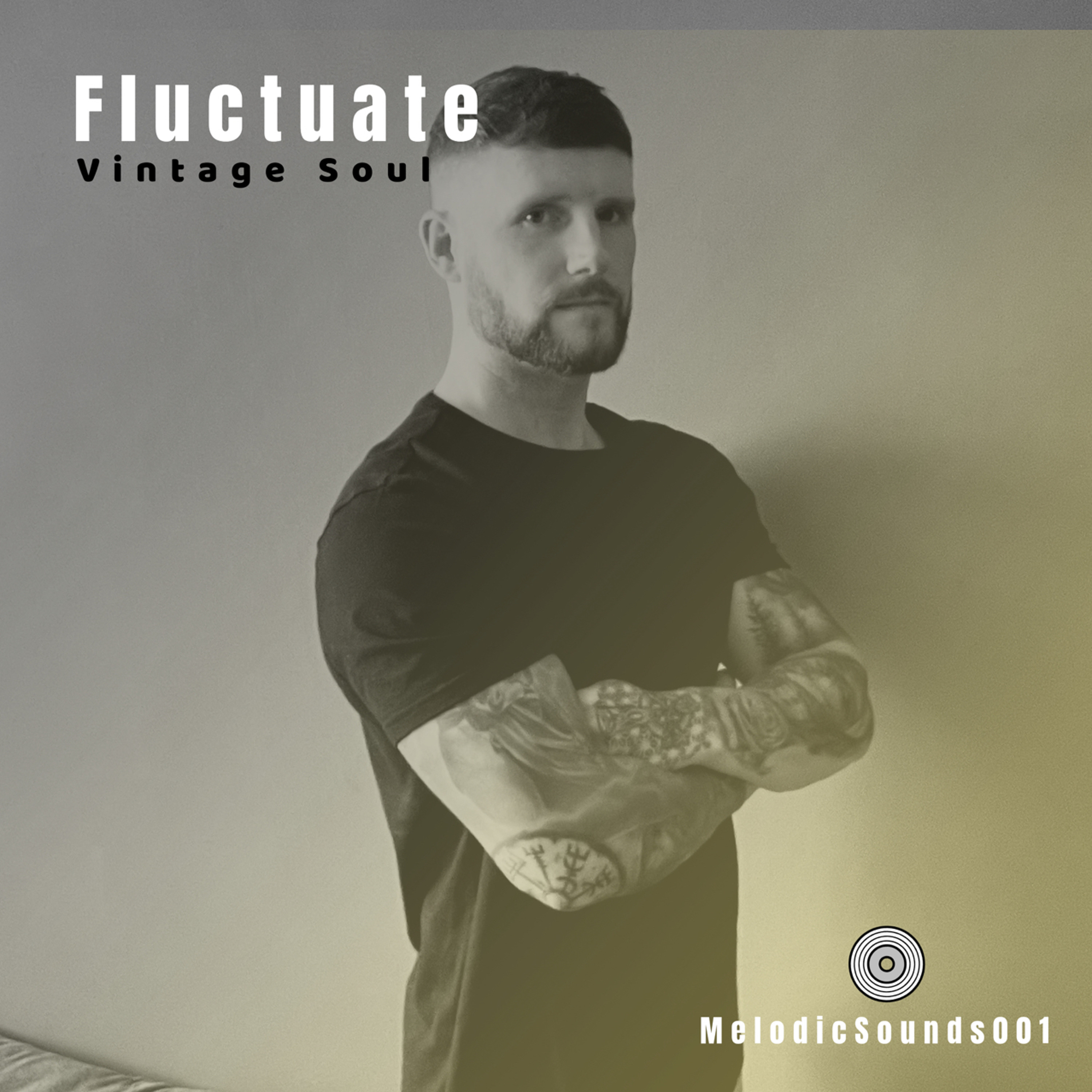 Fluctuate - Vintage Soul [MS2] Artwork