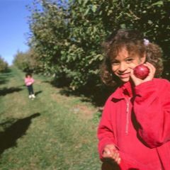 17. Toby is at the apple orchard with his kids
