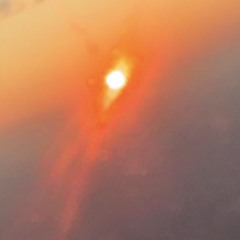 remind me of the summer