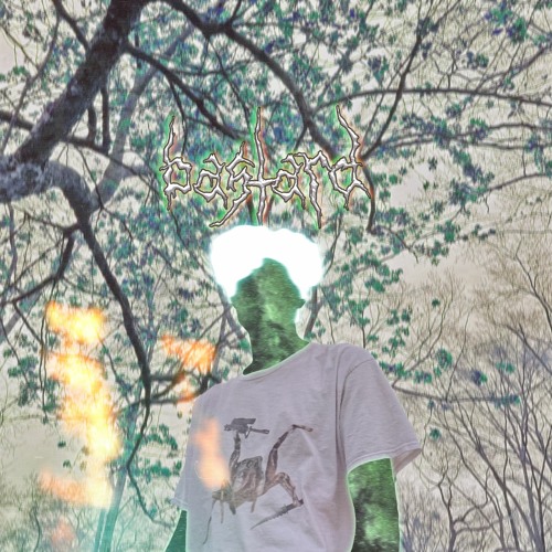 Peterphile