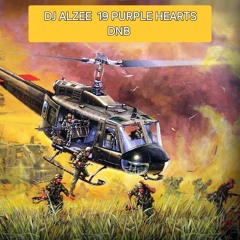 19 VIETNAM WAR TOTAL DISTRUCTION DRUM N BASS DJ ALZEE 1