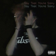 Say That You're Sorry