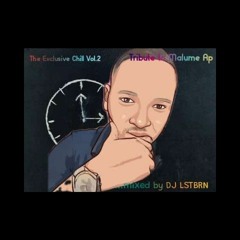 The Exclusive Chill Vol.2••Tribute to Malume Ap••