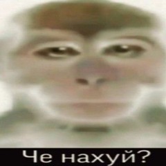 ВЕСЕННИЙ ЛЕС