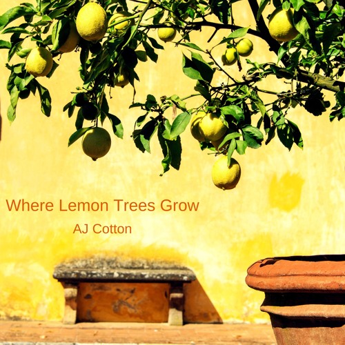 Where Lemon Trees Grow