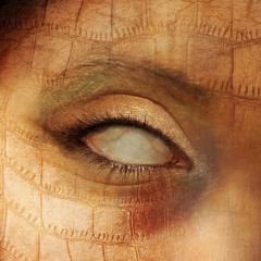 an eye for being famous?