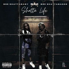 Like Me Ft BSE ShattaBaggs