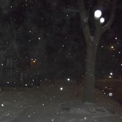 never could I doubt it