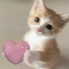 l!ke u