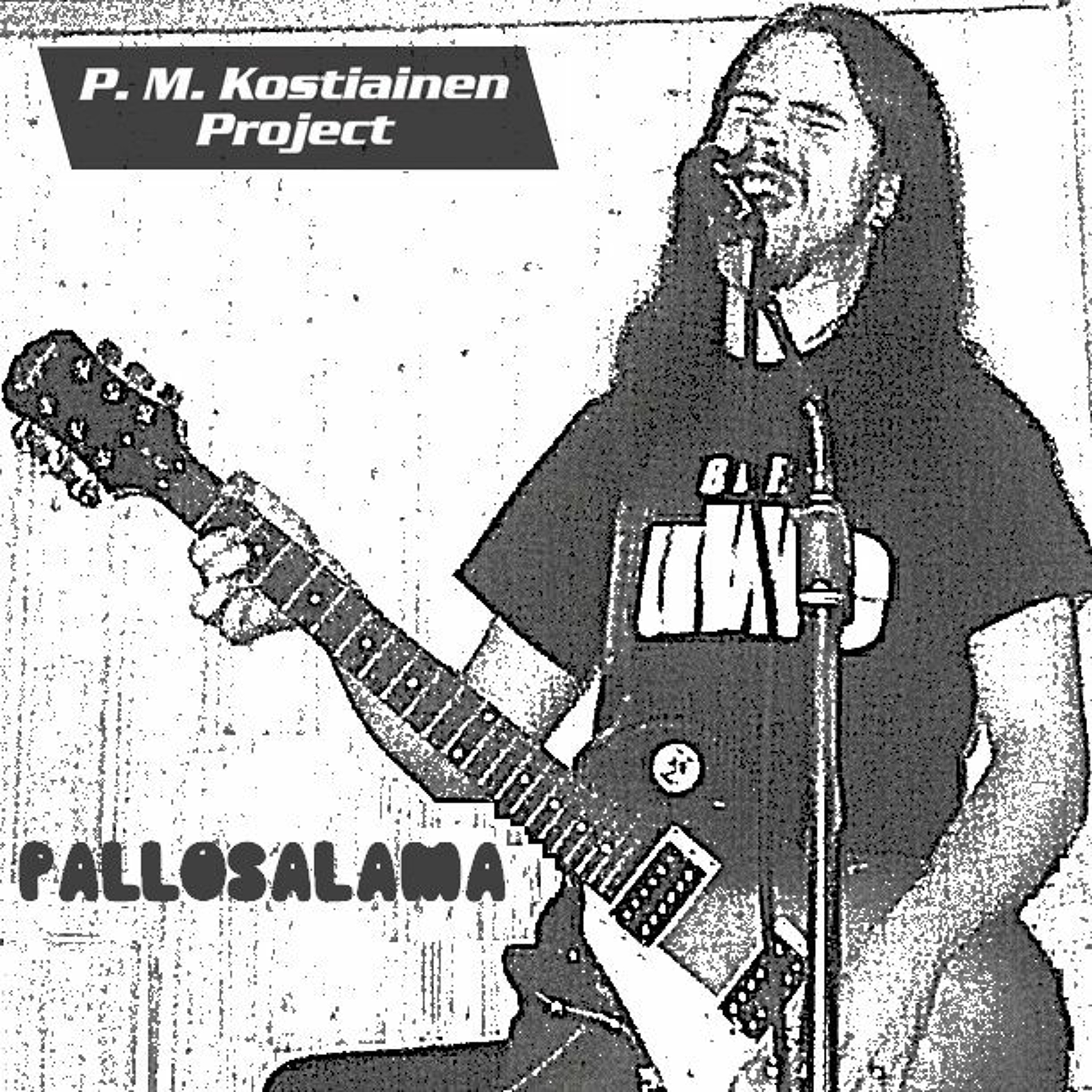 P. M. Kostiainen Project
