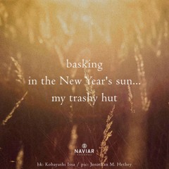 Basking (naviarhaiku521)