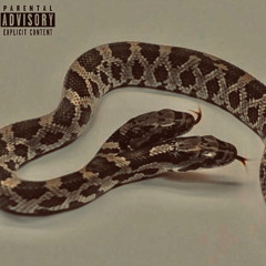 A1 Prada x Ym Cartier - Slime (Audio)