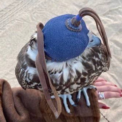 والله وجابولي مع الوقت طاريك :)🦦