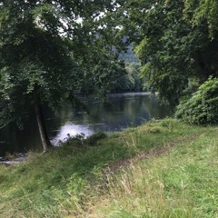 It is Quiet, It is Hushed