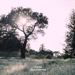 [Cinematic/Emotive/Reflective] Clarion