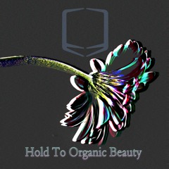 Hold To Organic Beauty - work in progress