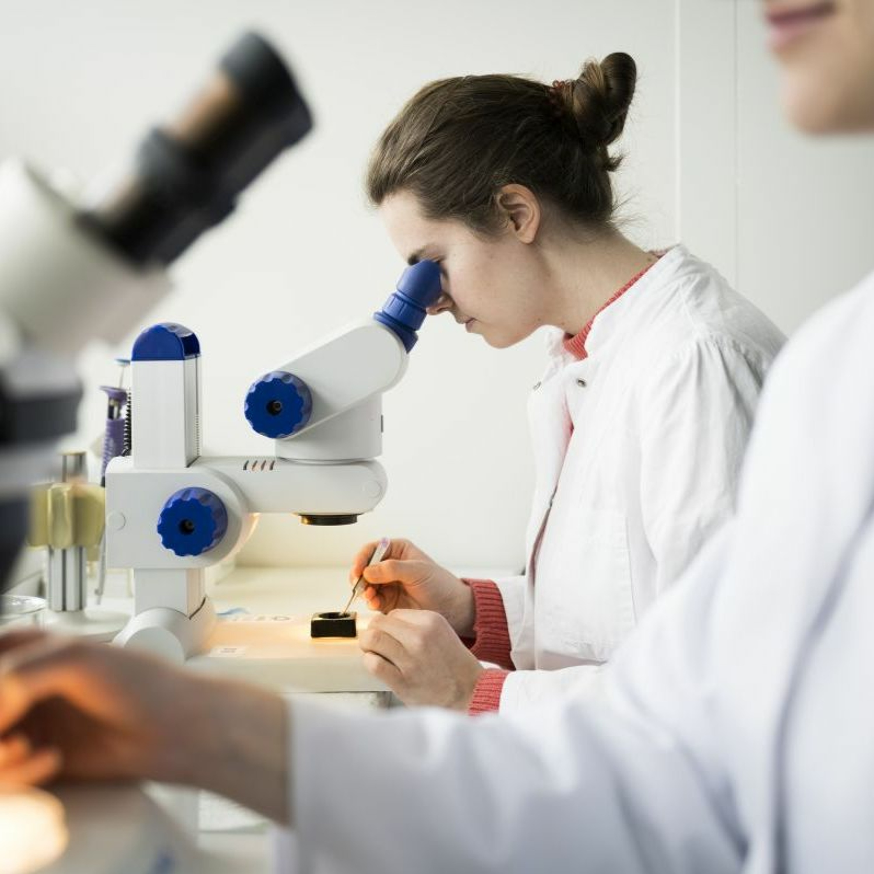 Karlsruher Institut für Technologie ( KIT)
