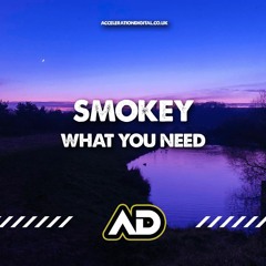 Smokey - What You Need [sample]