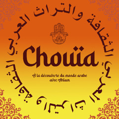 Chouïa : pourquoi le terme "beurette", est-il problématique ?