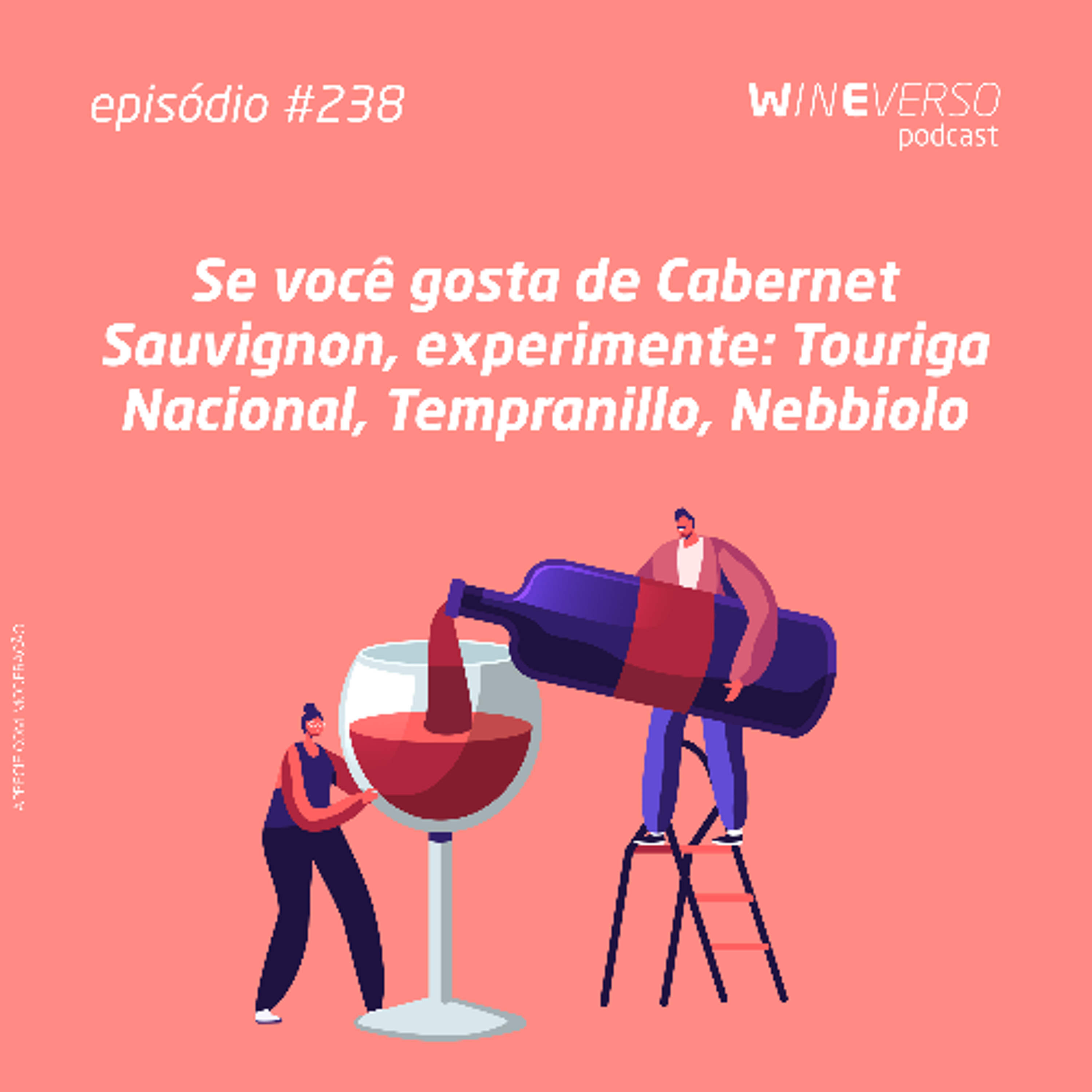 Se você gosta de Cabernet Sauvignon, experimente: Touriga Nacional, Tempranillo, Nebbiolo