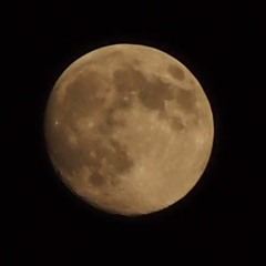 Dawn Moon
