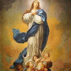 December 8 - Immaculate Conception of the Blessed Virgin Mary (2023)