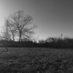 20220119 Untitled