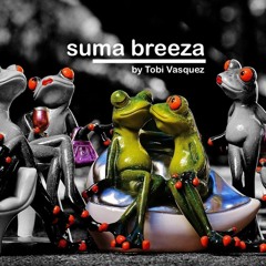 Tobi Vasquez | suma breeza [deephouse]