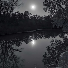 Midnight’s Calling