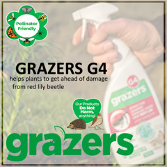 Christmas Advent calendar - Grazers sprays