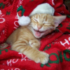 #iGetDope #christmas