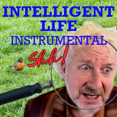 Intelligent Life instrumental mix - Brian Woodbury