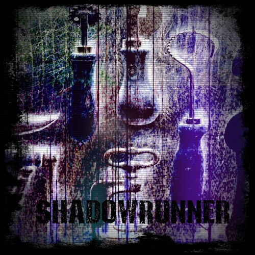 wildsilences - shadowrunner (Everything Down Remix).wav